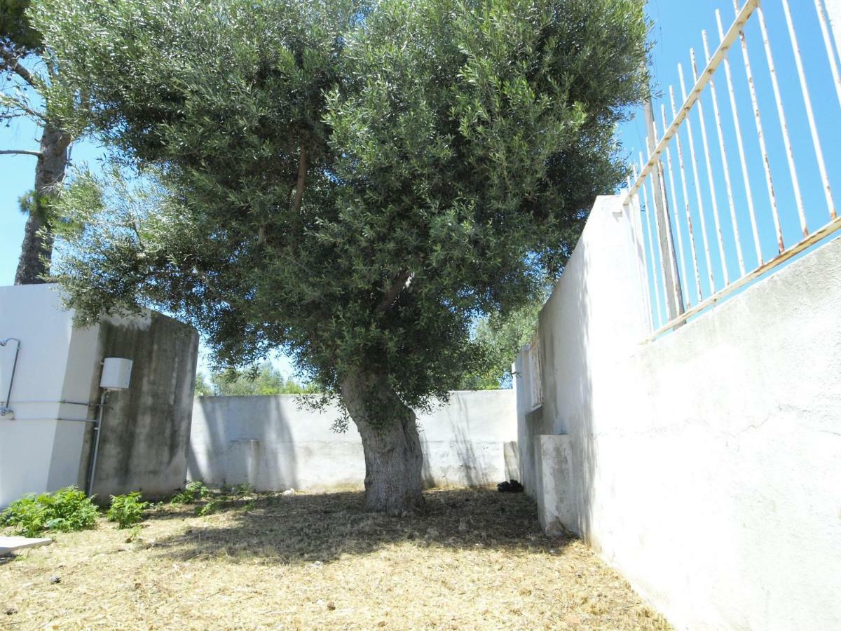 Happy Hostel For Young Polignano a Mare Bagian luar foto